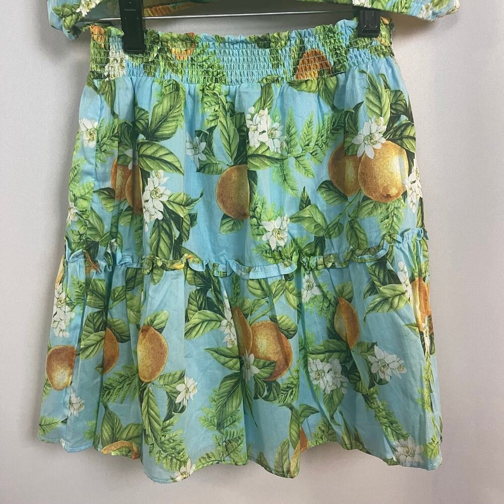 BB Dakota by Steve Madden Zest For Life Lemon Print Skirt Size XS NWT